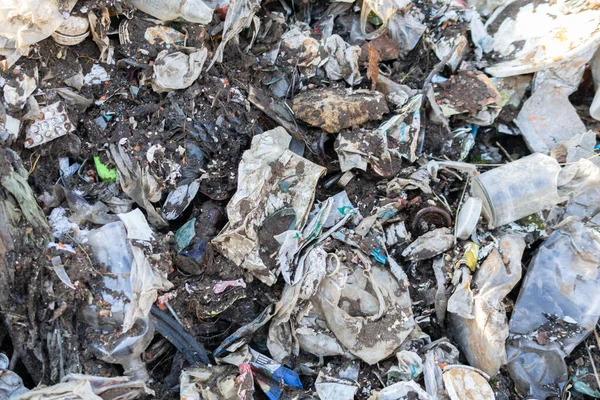Wild Garbage Dump Residual Glass Plastics Forest — Stock Photo, Image