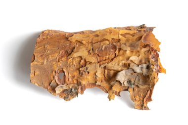 Beyaz izole bir arkaplanda çam kabuğu