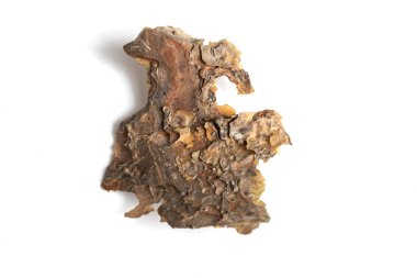 Beyaz izole bir arkaplanda çam kabuğu