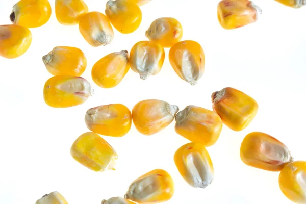 Corn Grains White Isolated Background — Stock fotografie