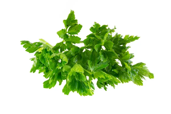 Parsley Leaves White Isolated Background — Stok Foto