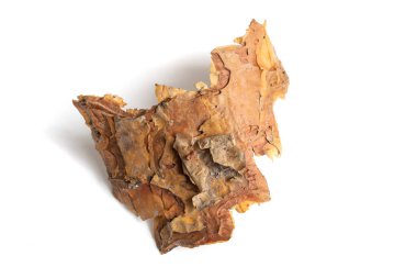 Beyaz izole bir arkaplanda çam kabuğu