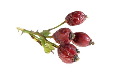 Beyaz izole arkaplanda kurumuş gül kalçası