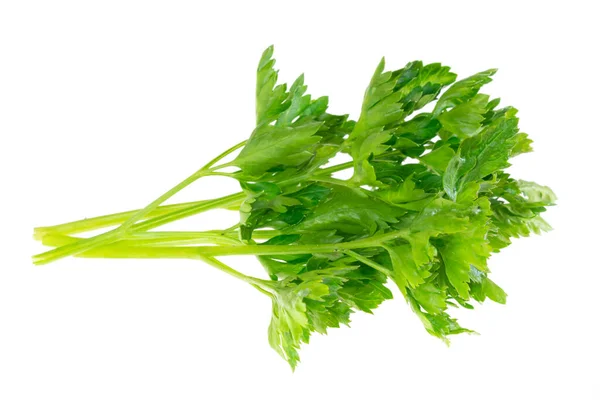 Parsley Leaves White Isolated Background — Fotografia de Stock