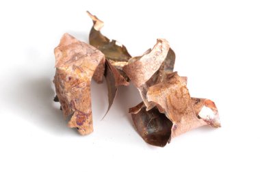 İzole edilmiş beyaz arkaplanda bakır talaşı.