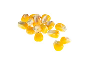 İzole edilmiş beyaz arkaplanda mısır taneleri