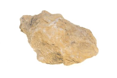 İzole edilmiş beyaz zeminde ilginç bir kireç taşı.