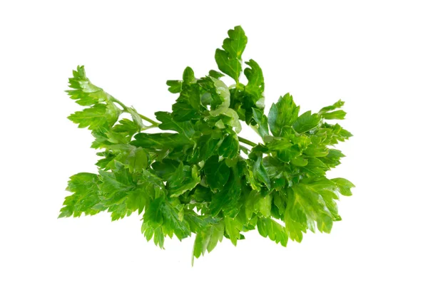 Parsley Leaves White Isolated Background — Stock fotografie