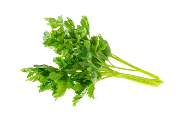 Parsley Leaves White Isolated Background — стоковое фото