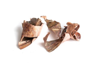 İzole edilmiş beyaz arkaplanda bakır talaşı.