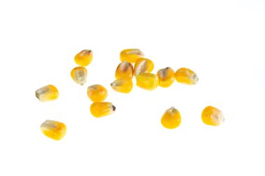 İzole edilmiş beyaz arkaplanda mısır taneleri