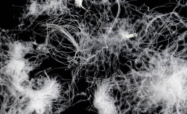 Siyah arka planda beyaz kaz