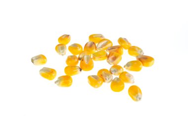 İzole edilmiş beyaz arkaplanda mısır taneleri