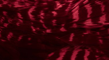 Kızıl Şahin tüyleri görünür detaylarla. arkaplan veya doku