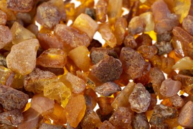 Görünür detayları olan Baltık kehribarı. arkaplan veya doku