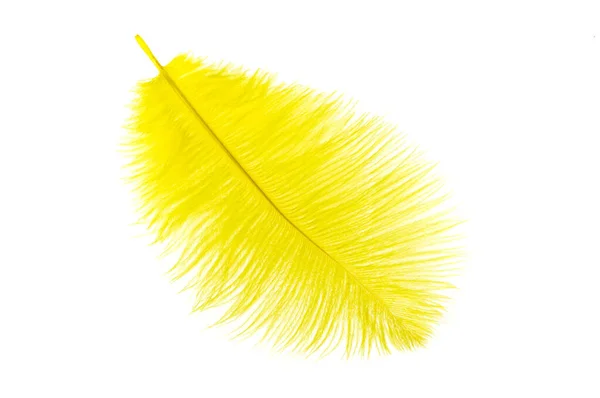 Yellow Ostrich Feather White Isolated Background — Photo