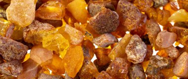 Görünür detayları olan Baltık kehribarı. arkaplan veya doku