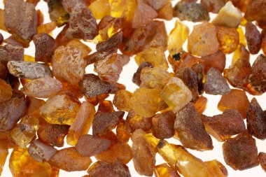 Görünür detayları olan Baltık kehribarı. arkaplan veya doku