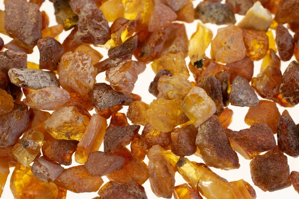 Görünür detayları olan Baltık kehribarı. arkaplan veya doku