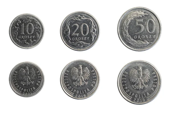 Poolse Gouden Penny Munten Een Witte Geïsoleerde Achtergrond — Stockfoto
