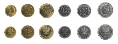 İzole edilmiş beyaz arka planda Polonya altınları ve bozuk paraları