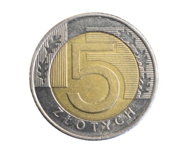 Beyaz izole bir arkaplanda beş zloti Polonya parası