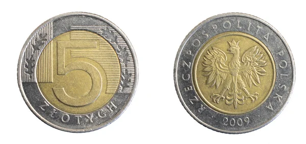 Polska Fem Zloty Mynt Vit Isolerad Bakgrund — Stockfoto