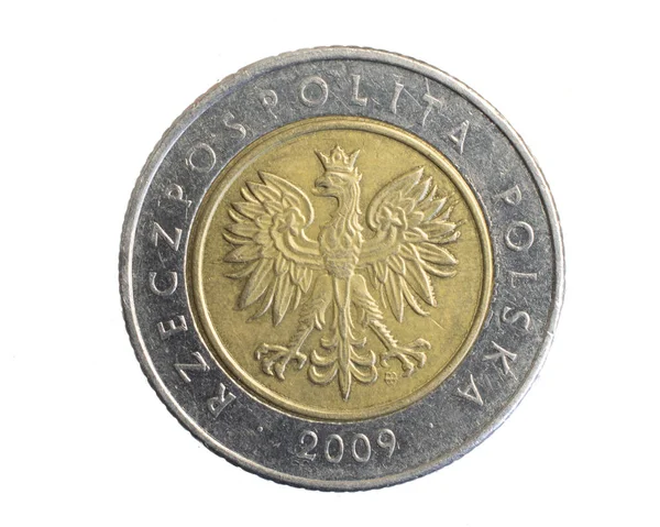 Moneda Cinco Zloty Polaca Sobre Fondo Blanco Aislado — Foto de Stock