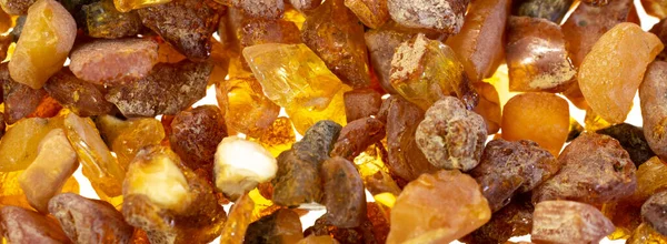 Görünür detayları olan Baltık kehribarı. arkaplan veya doku