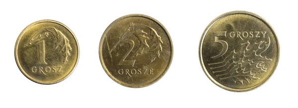 Polska Guld Och Mynt Vit Isolerad Bakgrund — Stockfoto