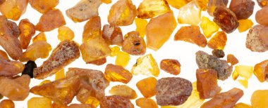 Görünür detayları olan Baltık kehribarı. arkaplan veya doku