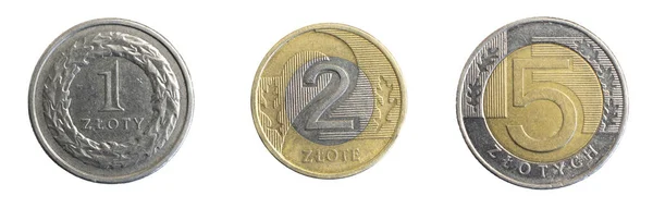 Polish Gold Penny Coins White Isolated Background — Φωτογραφία Αρχείου