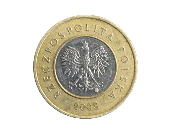 Poolse Twee Gouden Munt Een Witte Geïsoleerde Achtergrond — Stockfoto