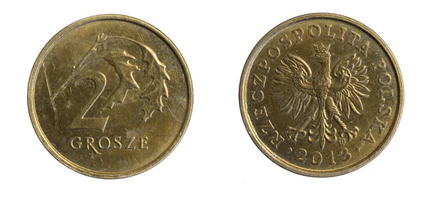Монета Польских Два Цента Белом Изолированном Фоне — стоковое фото
