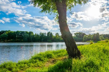 Güneşli bir günde ilginç bir göl