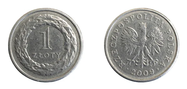 One Polish Zloty Coin White Isolated Background — Stock Photo, Image