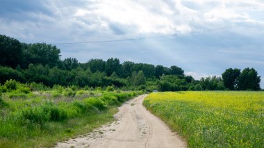 Gökyüzüne karşı tarlalar ve orman boyunca toprak yol