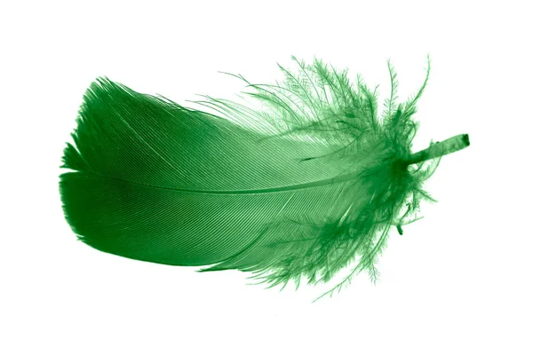 Green Goose Feather White Isolated Background — Stock Photo, Image