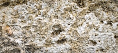 İlginç bir dokusu olan hafif kireçtaşı. arkaplan