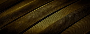 Altın tüy güvercin makro fotoğrafı. doku veya arkaplan