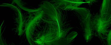 Siyah yalıtılmış arka planda yeşil ördek tüyleri