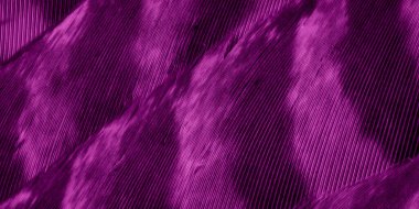 görünür detay ile mor atmaca tüyleri. arkaplan veya doku