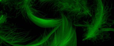 Siyah yalıtılmış arka planda yeşil ördek tüyleri