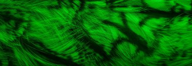 green and black owl feathers background or textura