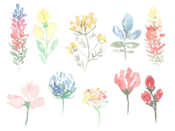 Watercolor Drawing Different Flowers — Photo