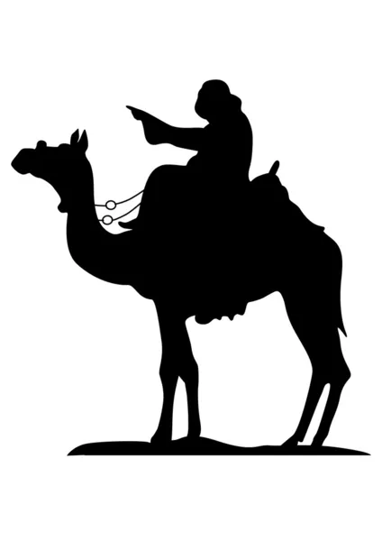 Wielbłąd kierowcy wskazuje drogę — Wektor stockowy