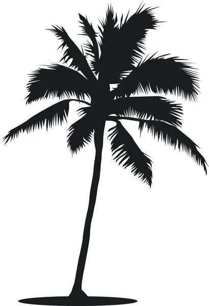 Palmboom in silhouet — Stockvector