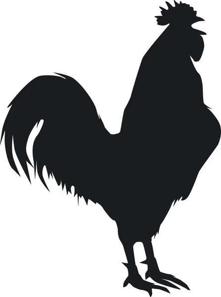 A rooster crows — Stock Vector