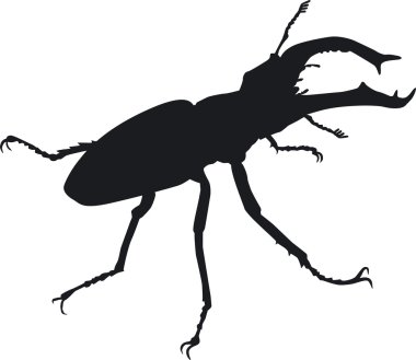 siluet bir büyük stag beetle