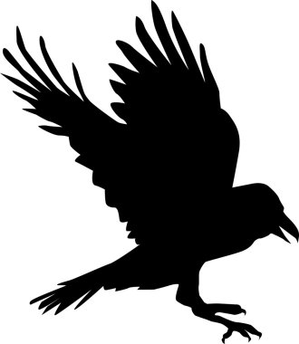 etkileyici bir kuzgun toprakları.